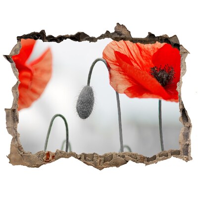 Zelfklevende muursticker 3D gat Bloemen in een gat in de muur