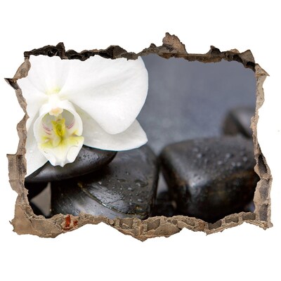 Wandsticker 3D doorkijk Bloemen en stenen in de spa