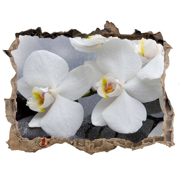 Zelfklevende 3D wandsticker illusie Orchideeën in beton