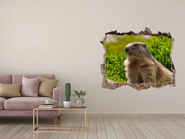 Zelfklevende muursticker 3D gat Marmot in het wild