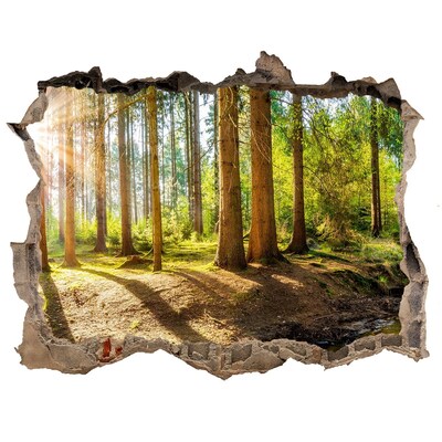 Zelfklevende muursticker 3D gat Een oase van rust in het bos
