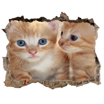 Wandsticker 3D gat met uitzicht Kittens in een gat in de muur