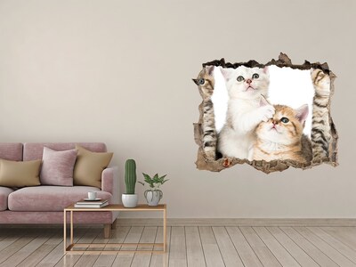 Zelfklevende muursticker 3D gat Kittens in een gat in de muur