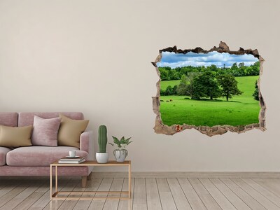 Wandsticker 3D gat met uitzicht Groene weide met bomen