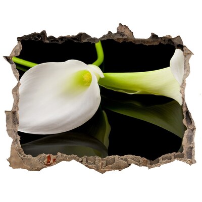 Wandsticker 3D gat met uitzicht Bloem in beton