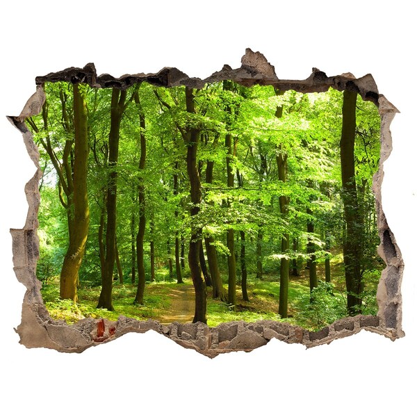 Zelfklevende 3D wandsticker illusie Groen bos in de zonnestralen