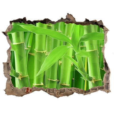 Wandsticker 3D gat met uitzicht Groen bamboebos