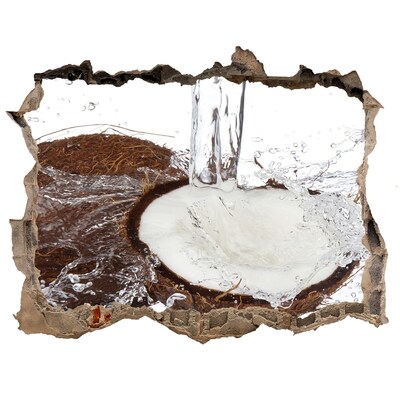 Wandsticker 3D doorkijk Kokosnoot in een beekje water