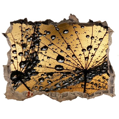 Wandsticker 3D gat met uitzicht Druppels op de bladeren