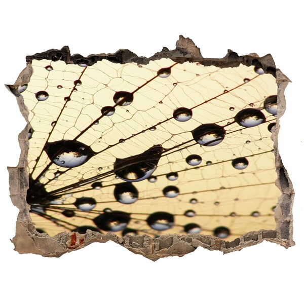 Samoprzylepna naklejka Krople wody na skrzydle motyla