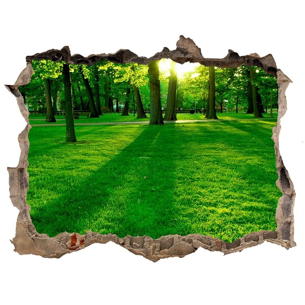 Zelfklevende muursticker 3D gat Groen park in de zon