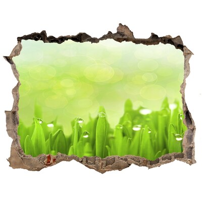 Zelfklevende 3D wandsticker illusie Groene weide met waterdruppels