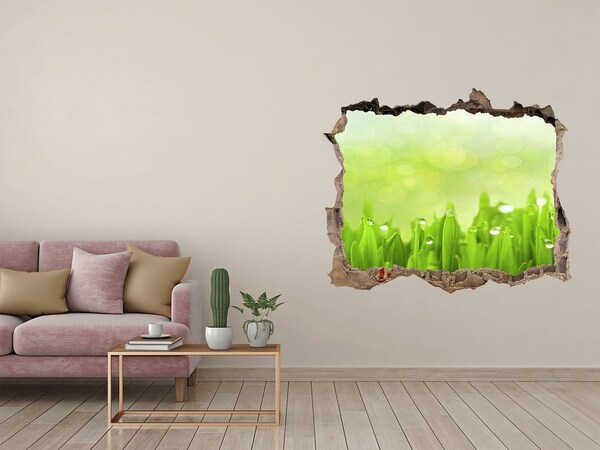 Zelfklevende 3D wandsticker illusie Groene weide met waterdruppels
