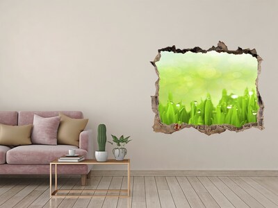 Zelfklevende 3D wandsticker illusie Groene weide met waterdruppels