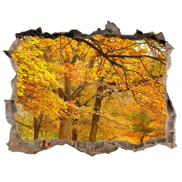 Wandsticker 3D doorkijk Gouden herfst in het bos