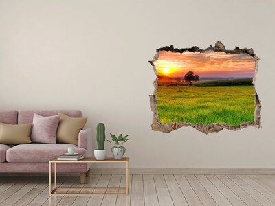 Zelfklevende muursticker 3D gat Zonsondergang boven de weide