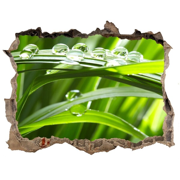 Wandsticker 3D doorkijk Groene weide met waterdruppels