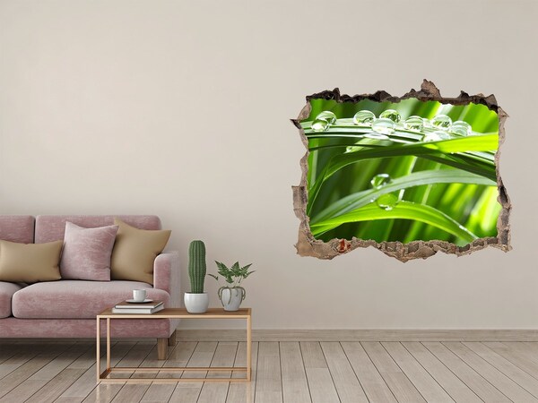 Wandsticker 3D doorkijk Groene weide met waterdruppels