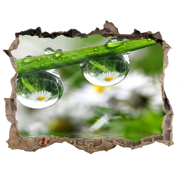 Wandsticker 3D gat met uitzicht Bloemenoase met waterdruppels