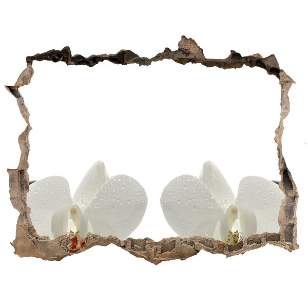 Zelfklevende muursticker 3D gat Bloemen in beton