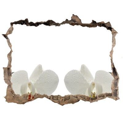 Zelfklevende muursticker 3D gat Bloemen in beton