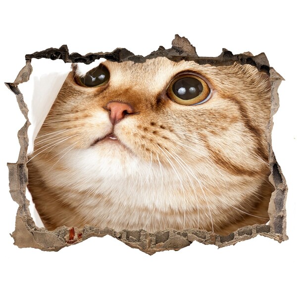 Zelfklevende muursticker 3D gat Kat in een gat in de muur