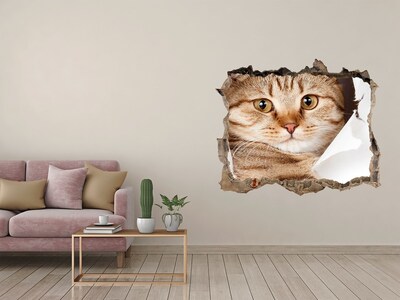 Wandsticker 3D gat met uitzicht Kat in een gat in de muur