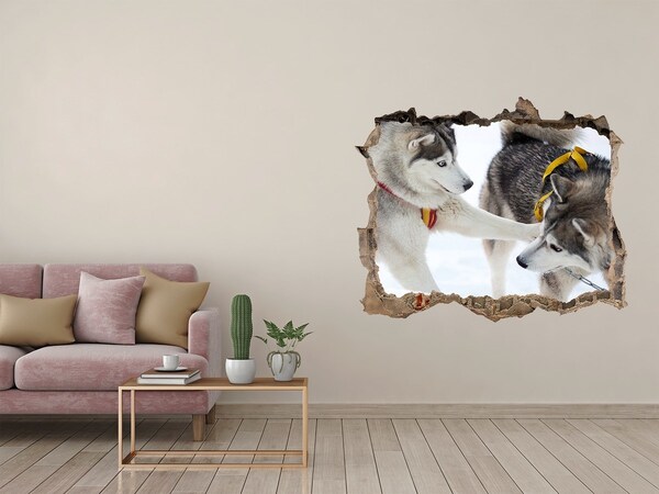 Wandsticker 3D gat met uitzicht Siberische husky's in actie