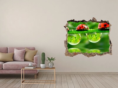 Zelfklevende muursticker 3D gat Een vleugje natuur met een lieveheersbeestje