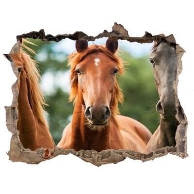 Zelfklevende 3D wandsticker illusie Paarden in hun natuurlijke leefomgeving