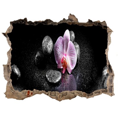 Zelfklevende 3D wandsticker illusie Orchideebloem omringd door stenen