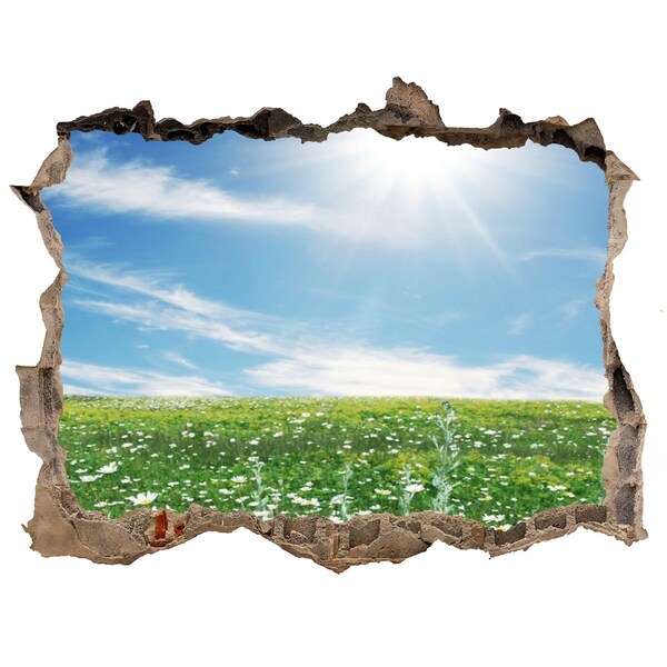 Zelfklevende 3D wandsticker illusie Een bloemenweide onder een blauwe hemel