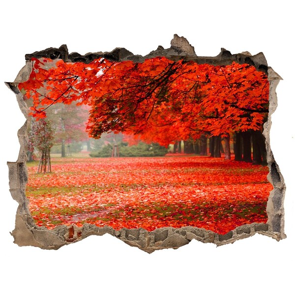 Wandsticker 3D gat met uitzicht De herfst in het park