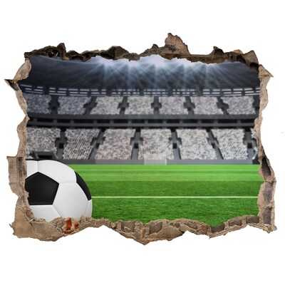 Fototapeta dziura na ścianę 3d Stadion piłkarski z piłką