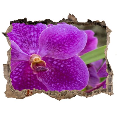 Wandsticker 3D doorkijk Orchideebloem in een gat in de muur