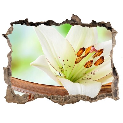 Wandsticker 3D gat met uitzicht Een bloemenparadijs in beton.