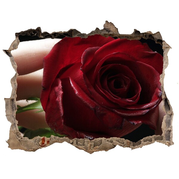Zelfklevende muursticker 3D gat Een roos in een vervallen muur