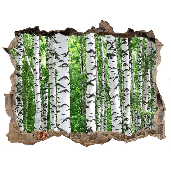 Wandsticker 3D gat met uitzicht Een verborgen oase in het bos