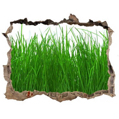 Zelfklevende 3D wandsticker illusie Groene weide door een gat in de muur