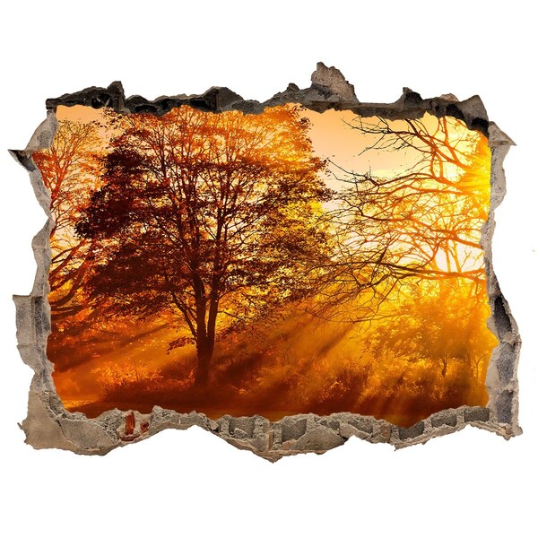 Wandsticker 3D doorkijk Gouden zonnestralen in het bos