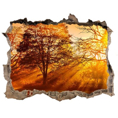Wandsticker 3D doorkijk Gouden zonnestralen in het bos