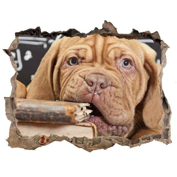 Zelfklevende 3D wandsticker illusie Een lief puppy tussen de boeken