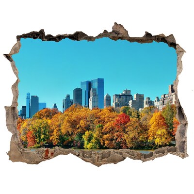 Wandsticker 3D gat met uitzicht De herfst in New York