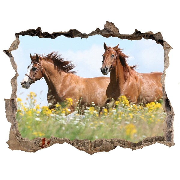 Wandsticker 3D gat met uitzicht Paarden in de wei