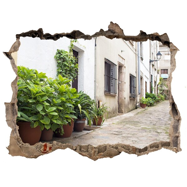 Zelfklevende 3D wandsticker illusie Een charmante straat met begroeiing.