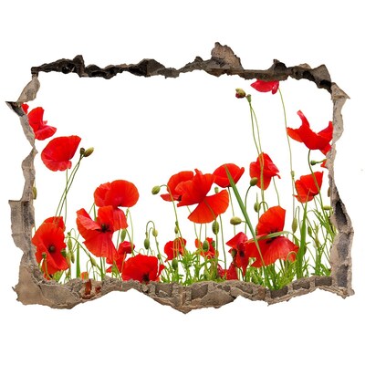 Samoprzylepna dziura naklejka beton Kwiatowy raj w betonie