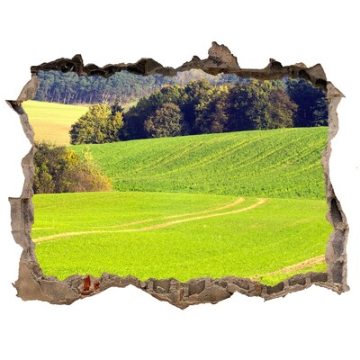 Wandsticker 3D gat met uitzicht Een groene weide achter de muur