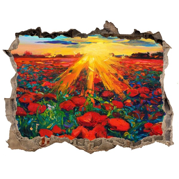 Samoprzylepna dziura naklejka Kwiatowa łąka w promieniach słońca