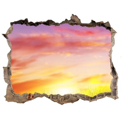 Zelfklevende 3D wandsticker illusie Zonsondergang boven de weide