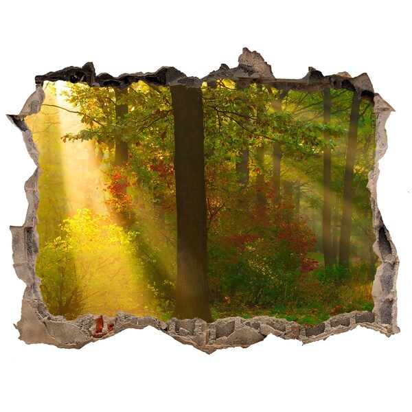 Wandsticker 3D doorkijk Herfstlandschap van het bos